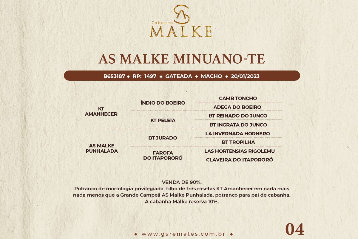 Geração AS MALKE MINUANO-TE