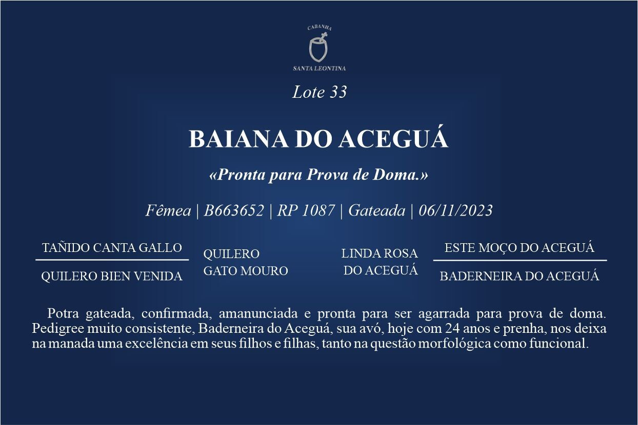 Geração BAIANA DO ACEGUÁ