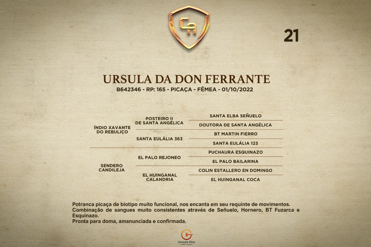 Geração URSULA DA DON FERRANTE