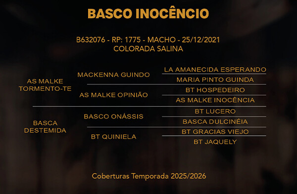 Geração BASCO INOCENCIO