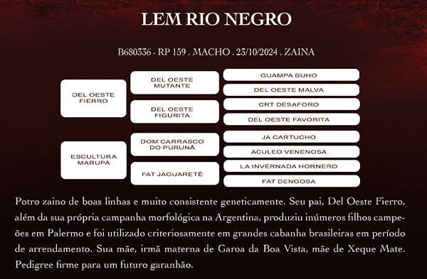 Geração LEM RIO NEGRO