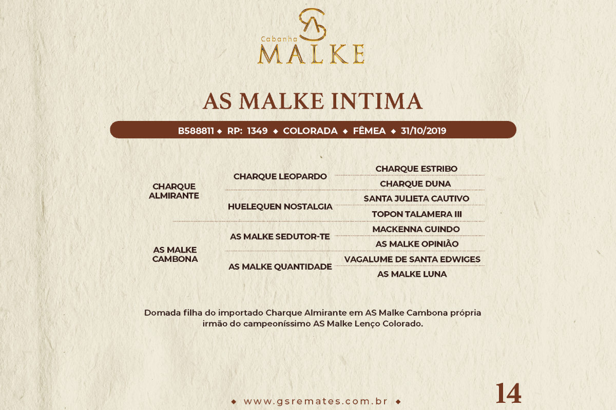 Geração AS MALKE INTIMA