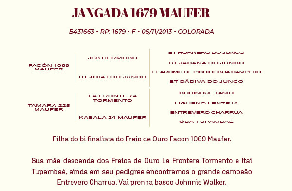 Geração JANGADA 1679 MAUFER