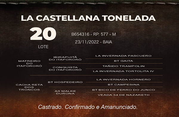 Geração LA CASTELLANA TONELADA