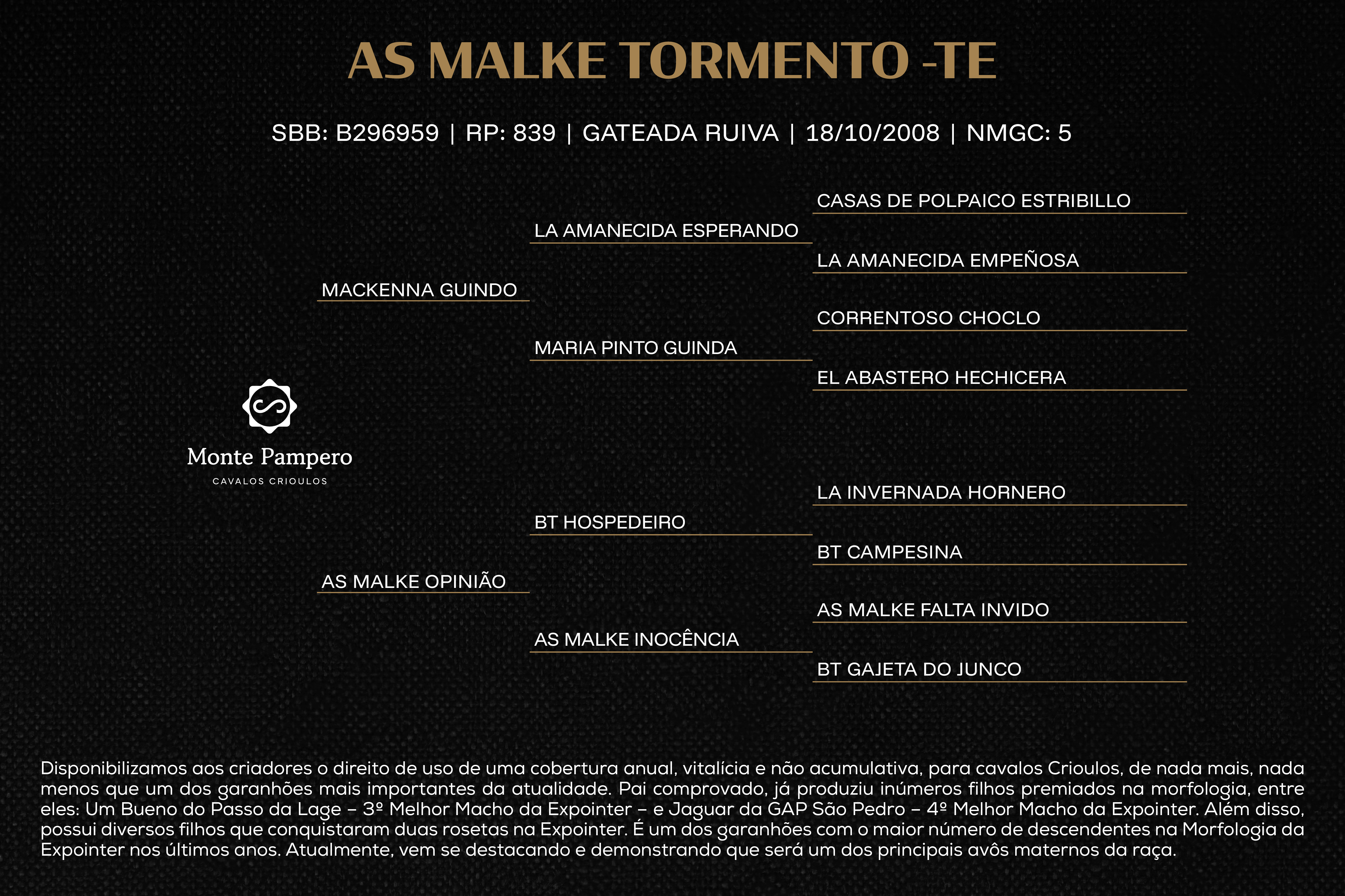Geração AS MALKE TORMENTO-TE (Direito de uso)