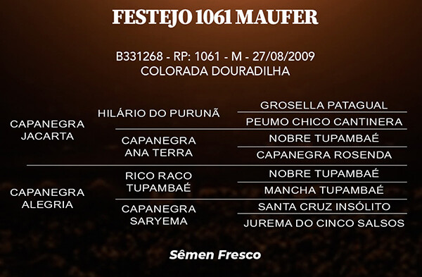 Geração FESTEJO 1061 MAUFER