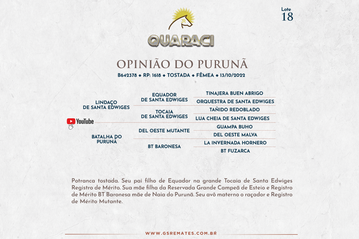 Geração OPINIÃO DO PURUNÃ