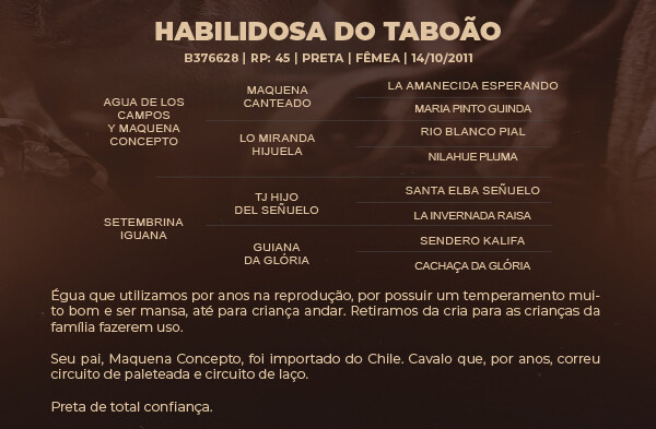 Geração HABILIDOSA DO TABOÃO 