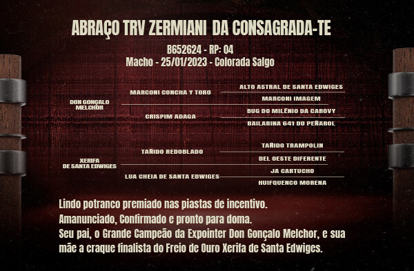 Geração ABRAÇO TRV ZERMIANI DA CONSAGRADA-TE