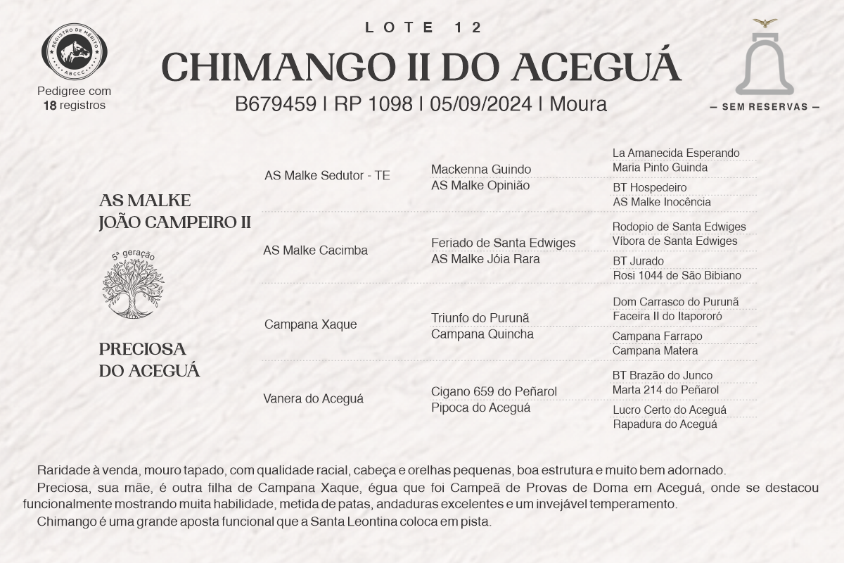 Geração CHIMANGO IIDO ACEGUÁ