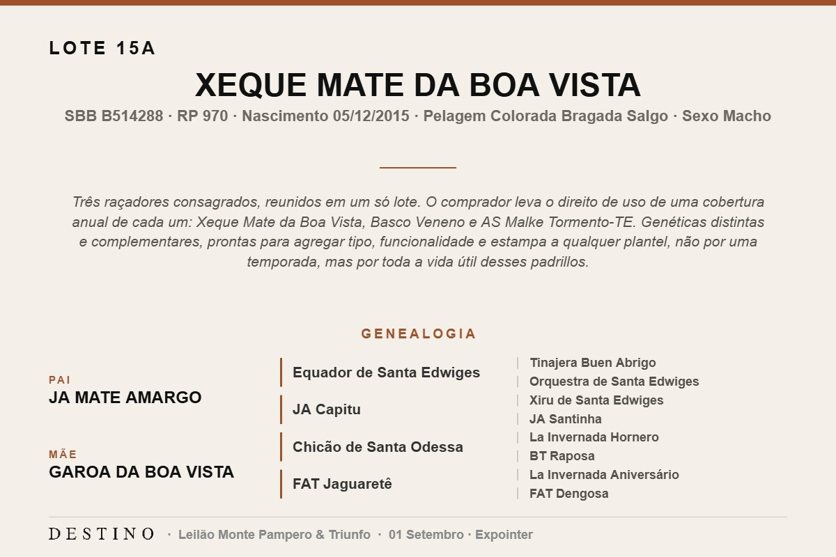 Geração XEQUE MATE DA BOA VISTA - (Venda vertical direito de uso)
