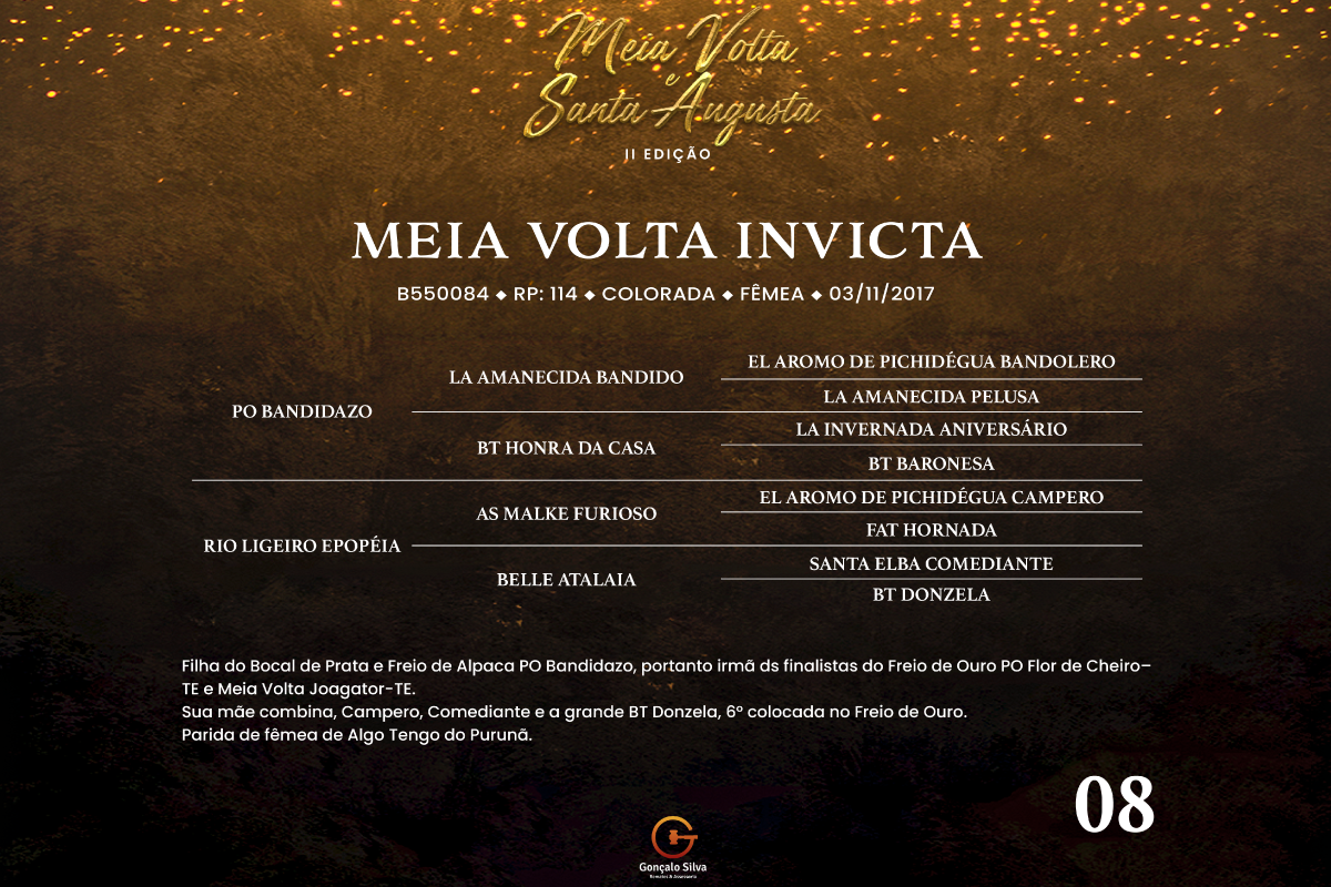 Geração MEIA VOLTA INVICTA