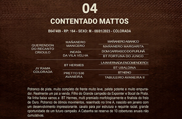 Geração CONTENTADO MATTOS