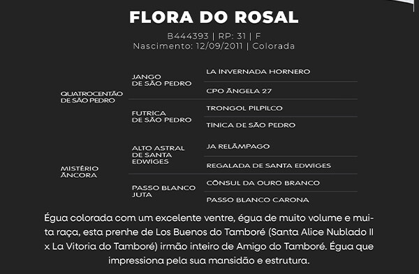 Geração FLORA DO ROSAL