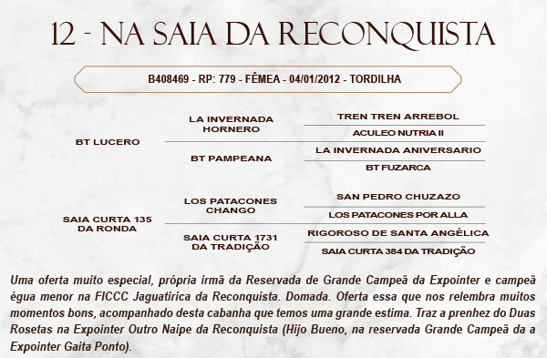 Geração NA SAIA DA RECONQUISTA 