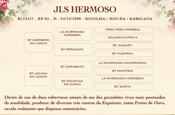 Geração DIREITO DE USO DE 2 COBERTURAS JLS HERMOSO 