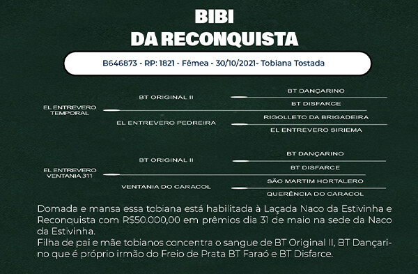 Geração BIBI DA RECONQUISTA