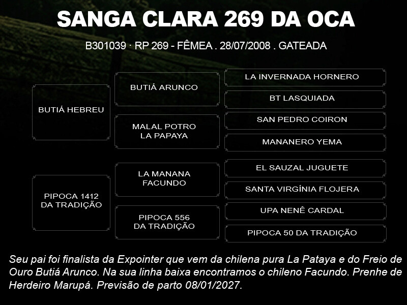 Geração SANGA CLARA 269 DA OCA 