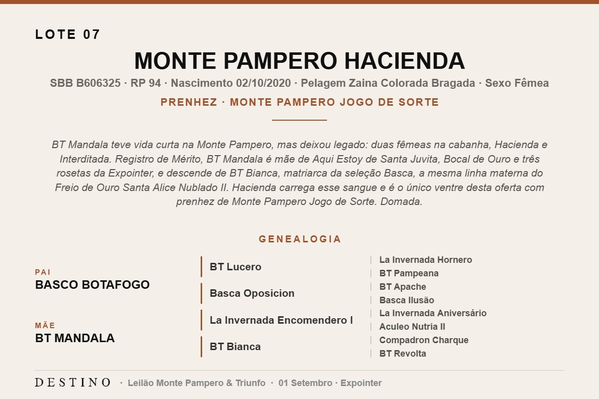 Geração MONTE PAMPERO HACIENDA