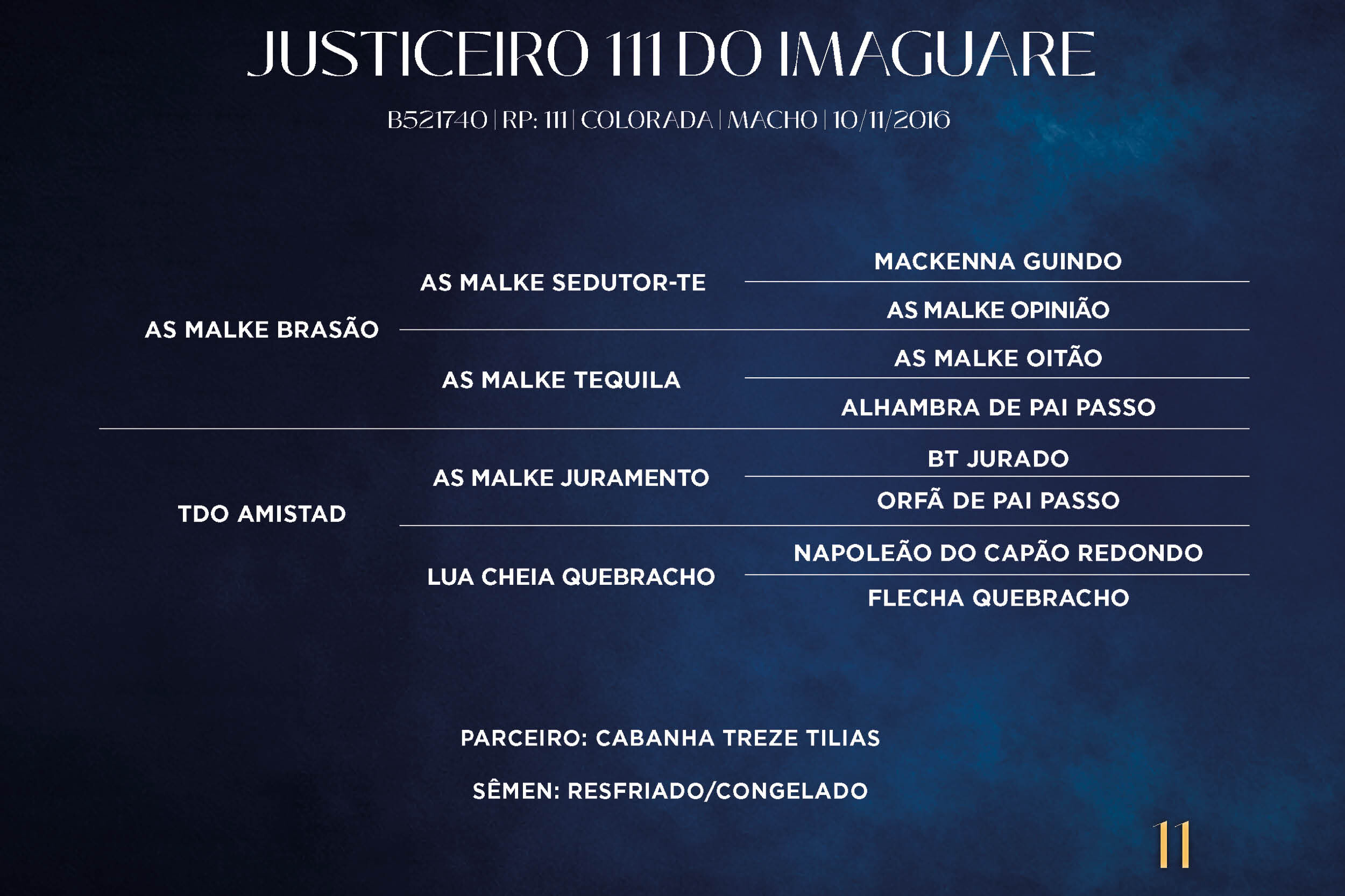 Geração JUSTICEIRO 111 DO IMAGUARÉ