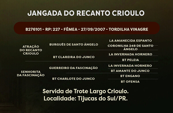 Geração JANGADA DO RECANTO CRIOULO
