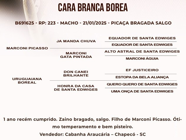 Geração CARA BRANCA BOREA