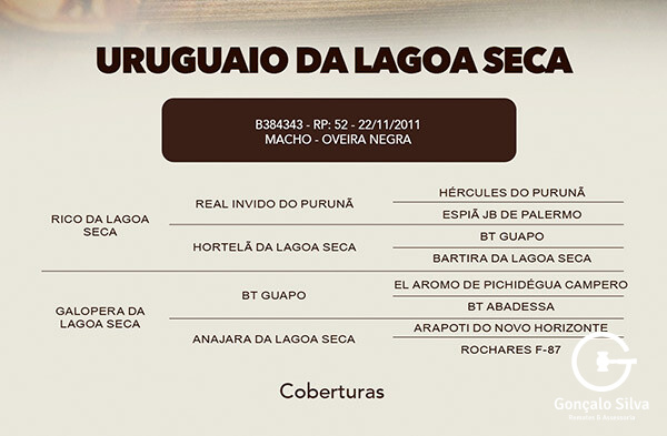 Geração COBERTURA URUGUAIO DA LAGOA SECA