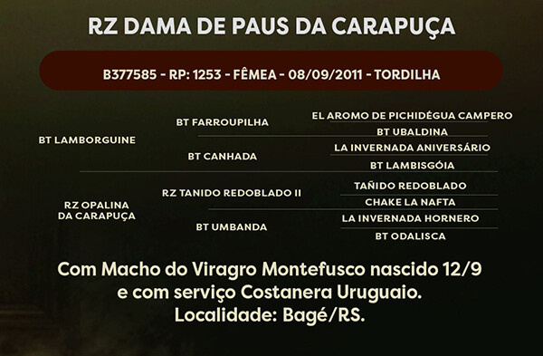 Geração  RZ DAMA DE PAUS DA CARAPUÇA