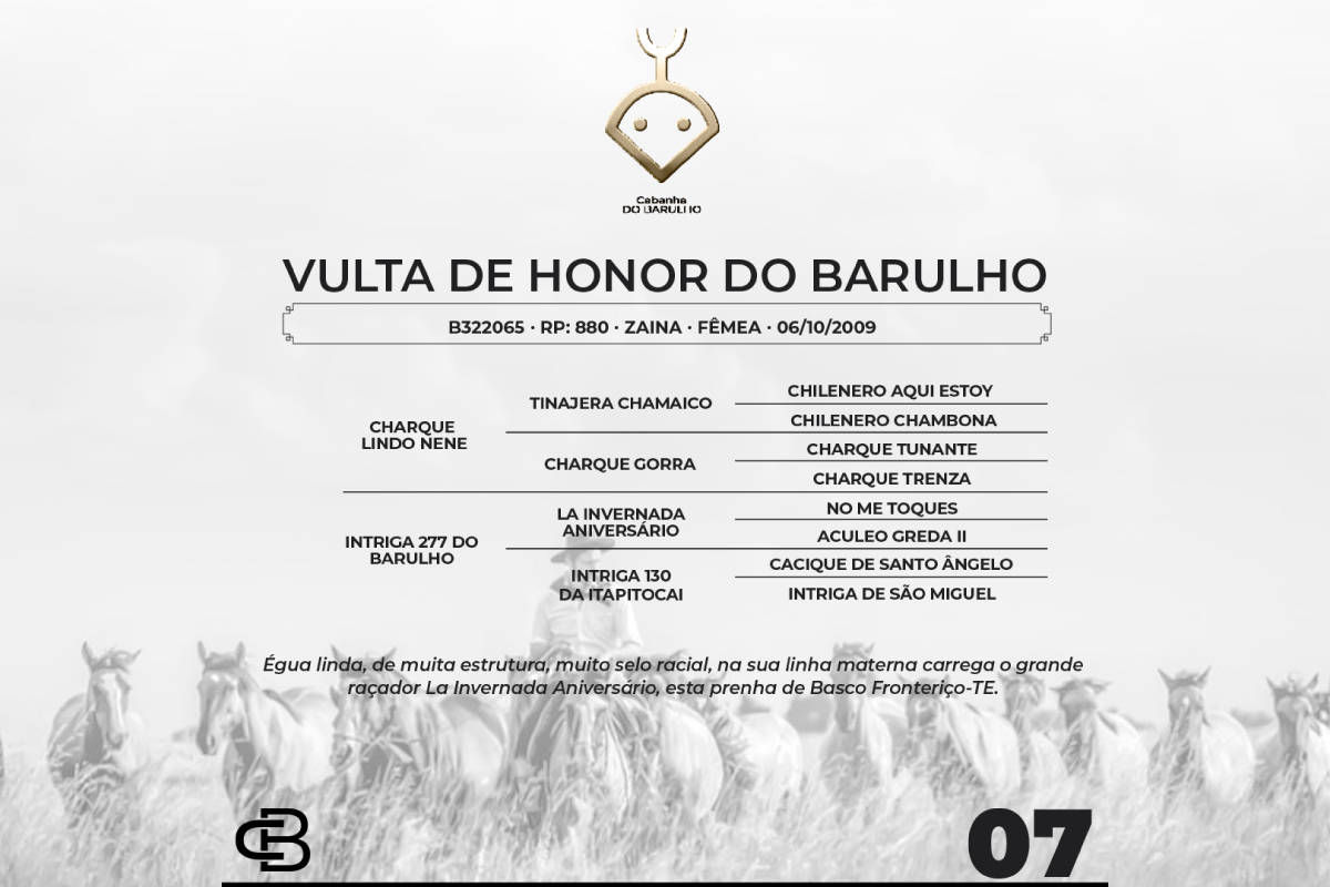 Geração VULTA DE HONOR DO BARULHO