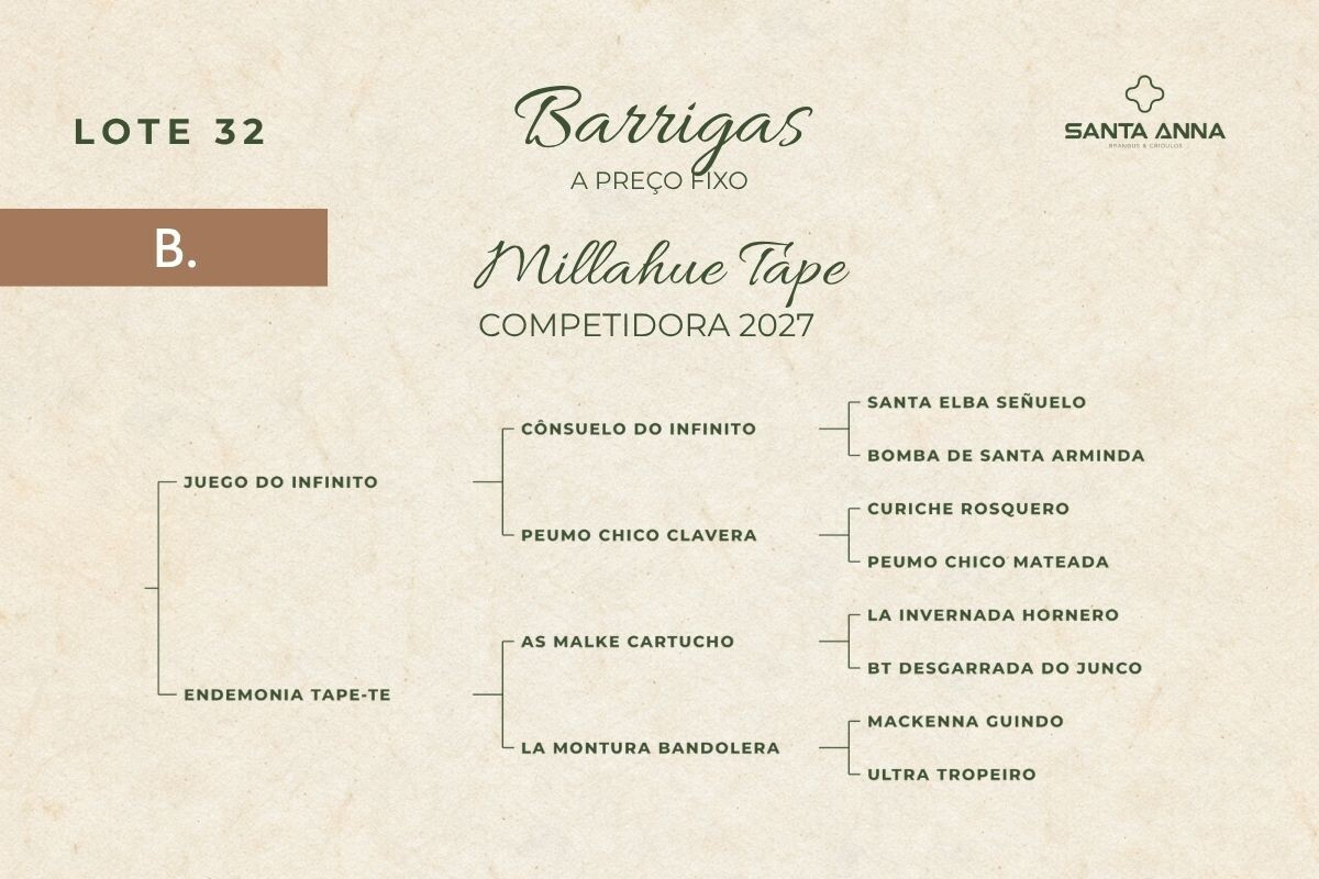 Geração MILLAHUE TAPE