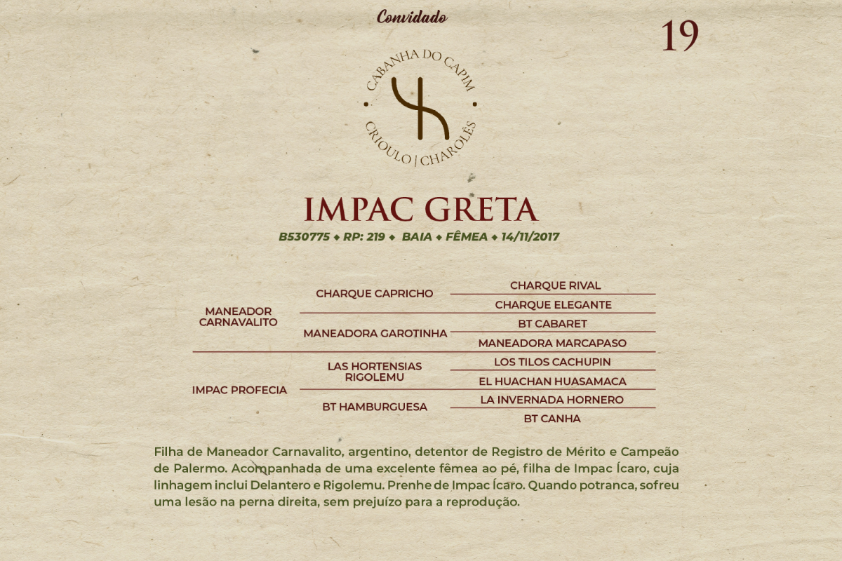 Geração IMPAC GRETA