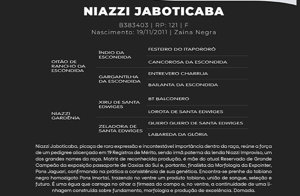 Geração NIAZZI JABOTICABA