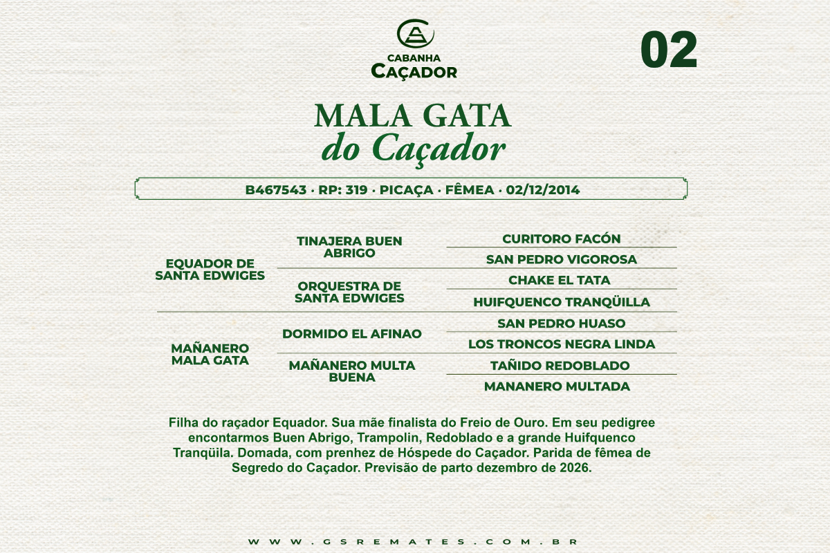 Geração MALA GATA DO CAÇADOR 