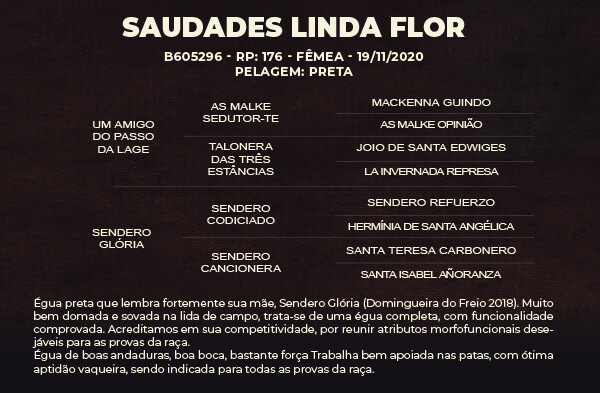 Geração SAUDADES LINDA FLOR