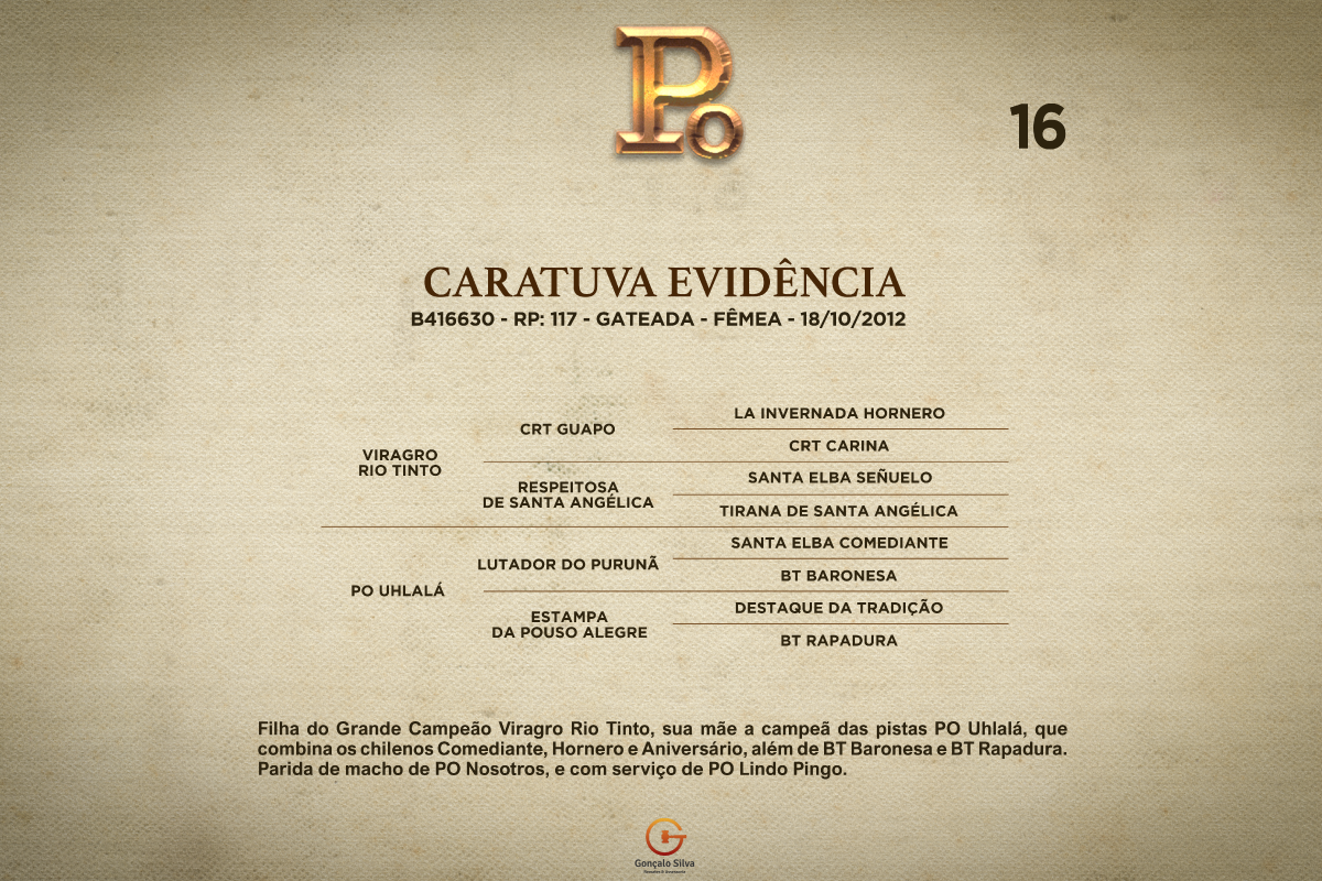 Geração CARATUVA EVIDÊNCIA