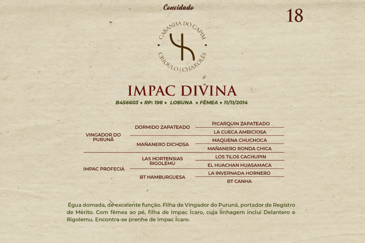 Geração IMPAC DIVINA
