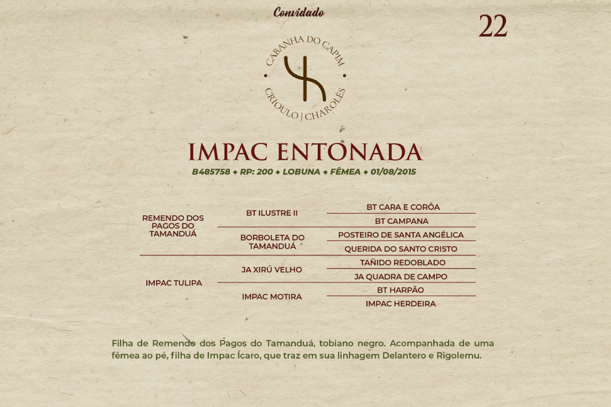 Geração IMPAC ENTONADA