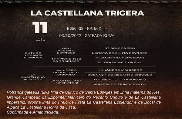 Geração LA CASTELLANA TRIGERA
