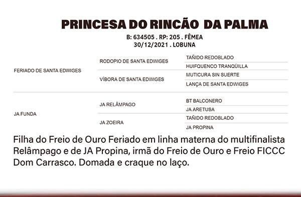 Geração PRINCESA DO RINÇÃO DA PALMA