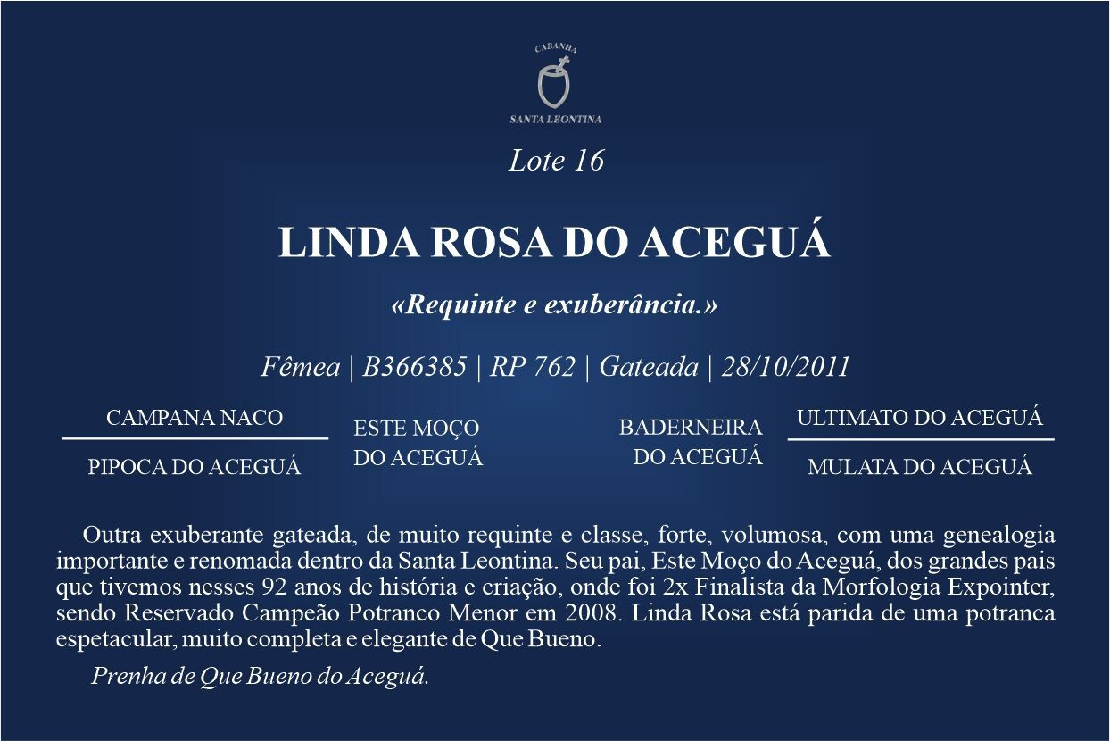 Geração LINDA ROSA DO ACEGUÁ