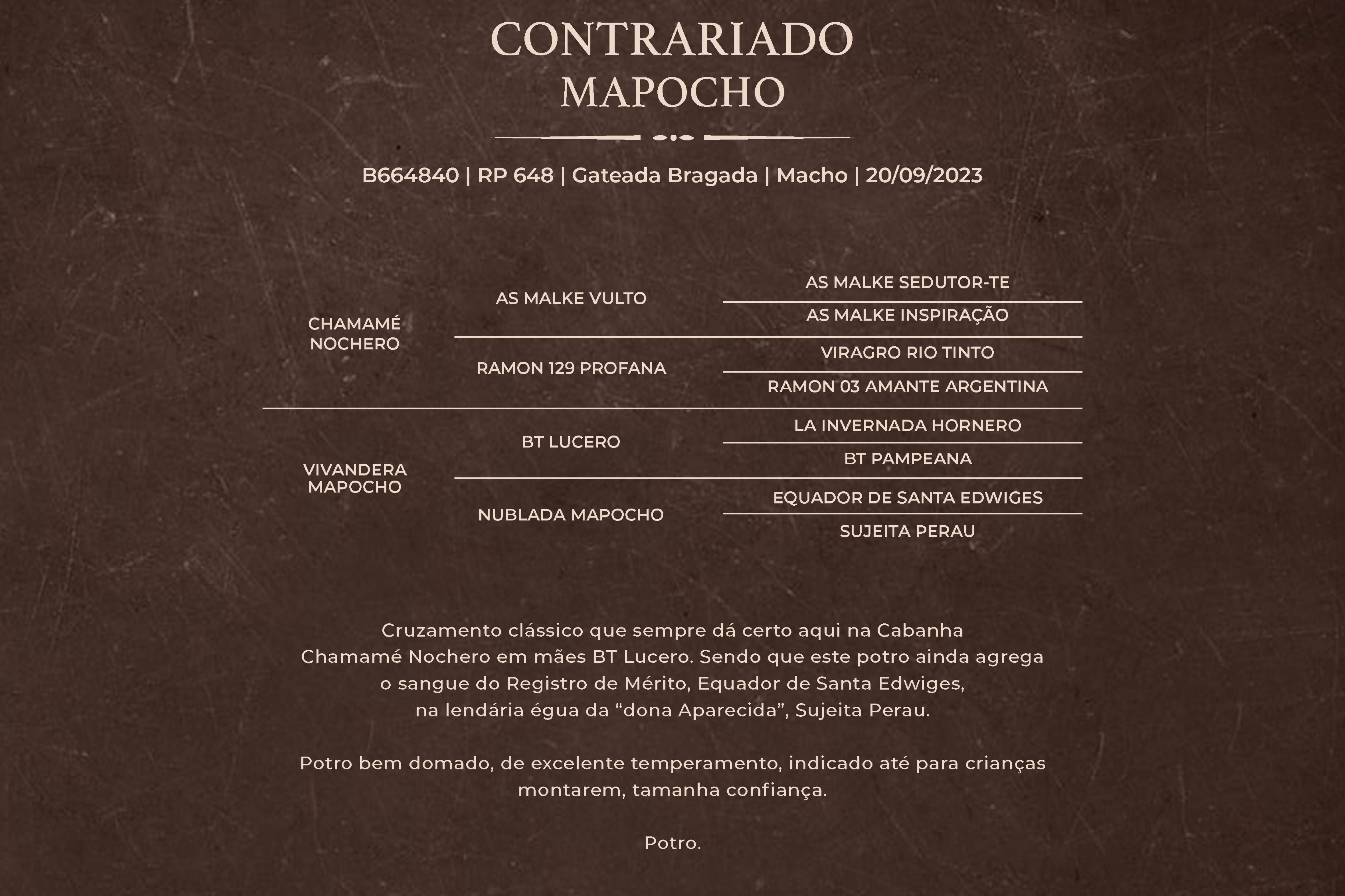 Geração CONTRARIADO MAPOCHO