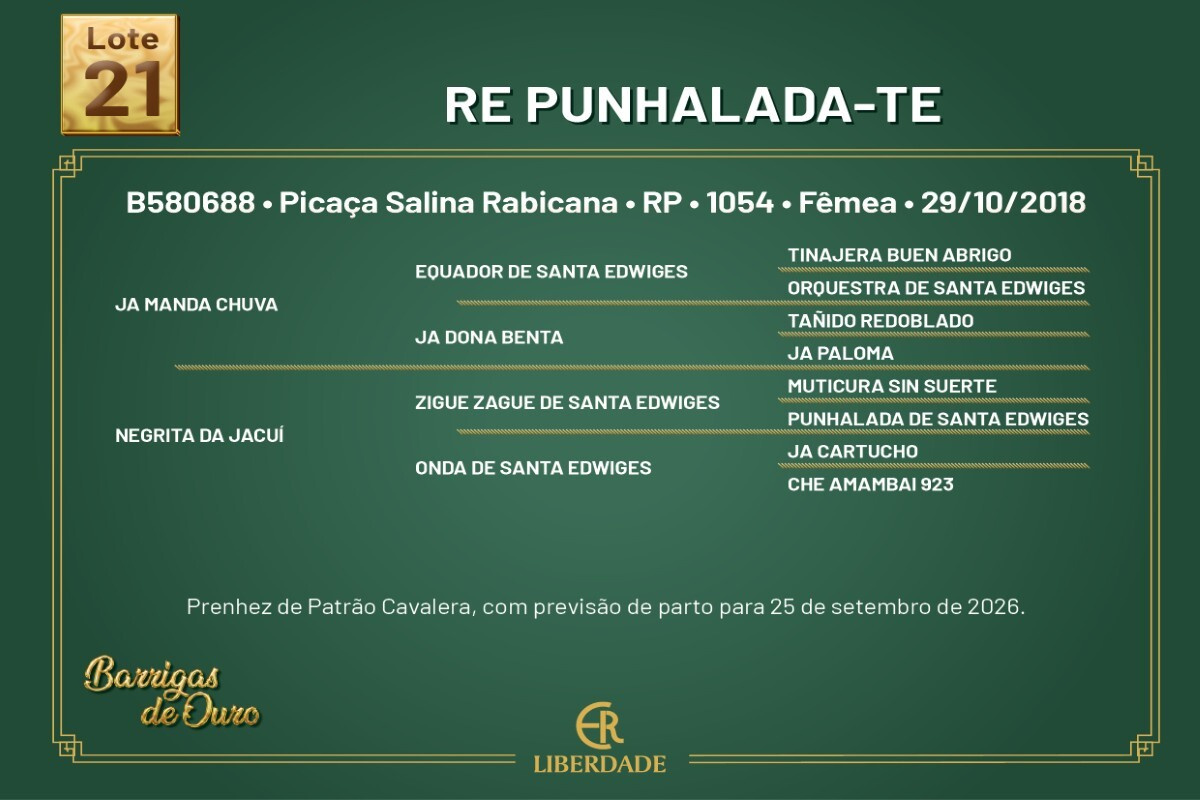 Geração RE PUNHALADA-TE