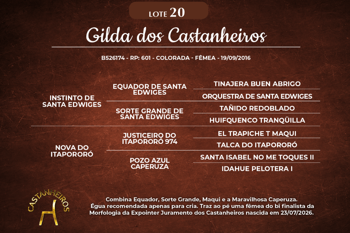 Geração GILDA DOS CASTANHEIROS
