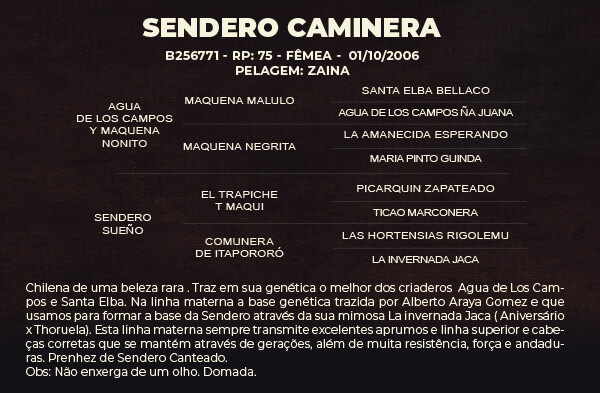 Geração SENDERO CAMINERA