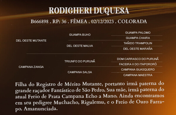 Geração RODIGHERI DUQUESA