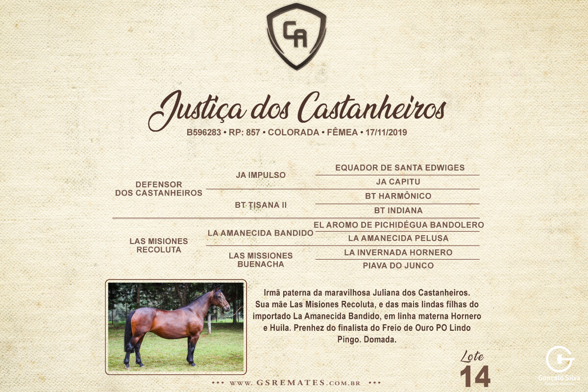 Geração JUSTIÇA DOS CASTANHEIROS