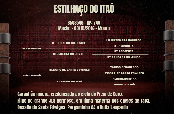 Geração ESTILHAÇO DO ITAÓ