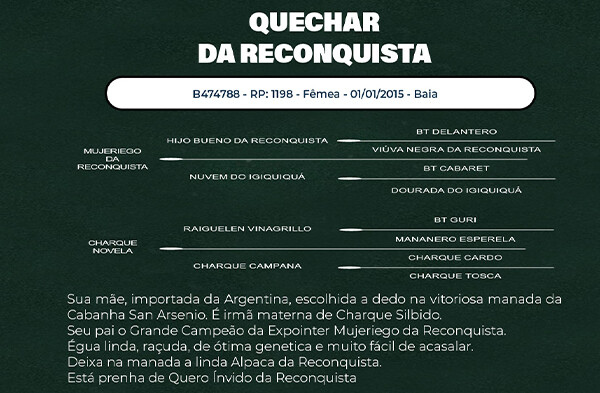 Geração QUECHAR DA RECONQUISTA