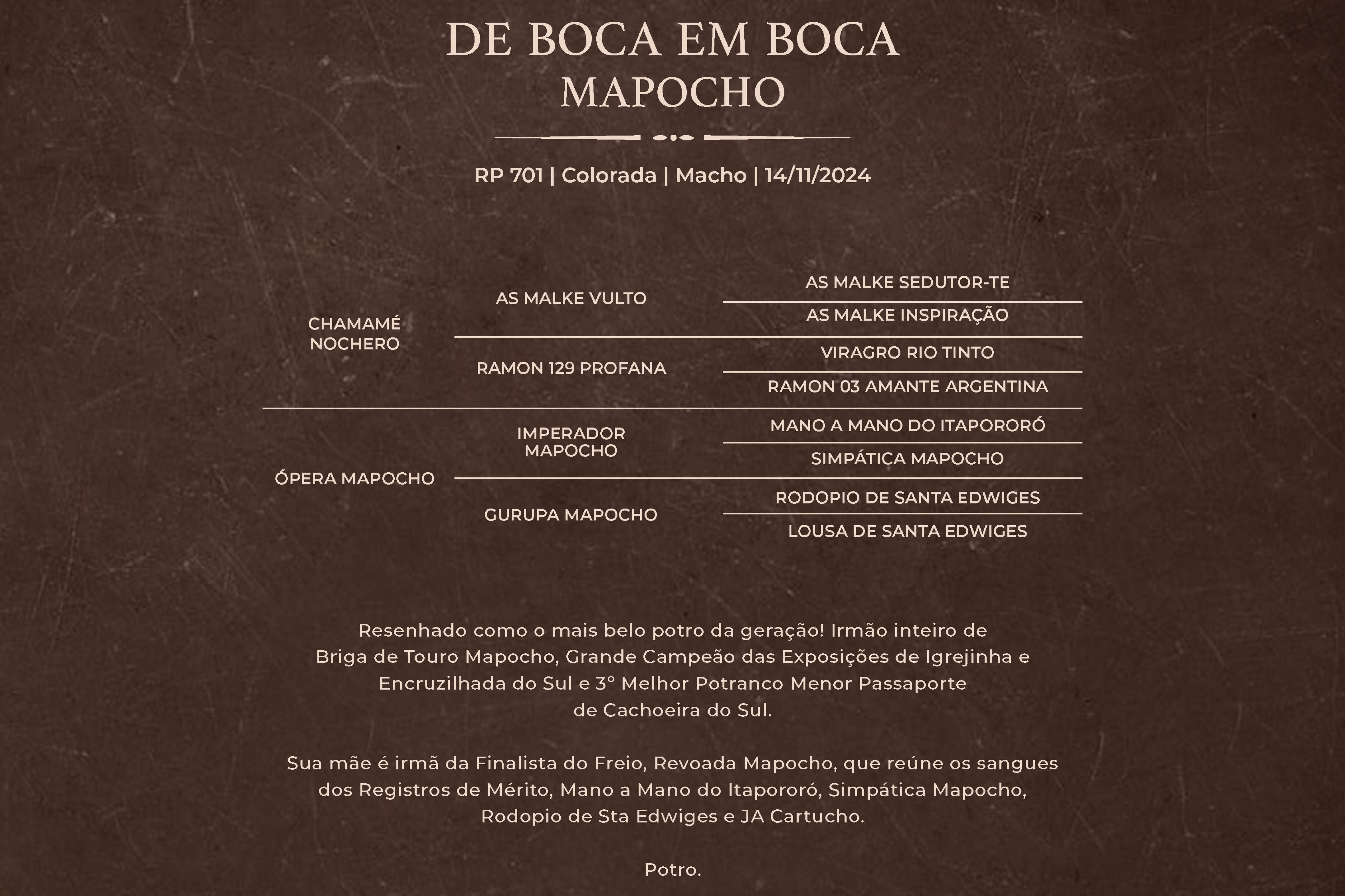 Geração DE BOCA EM BOCA MAPOCHO