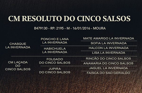 Geração CM RESOLUTO DO CINCO SALSOS